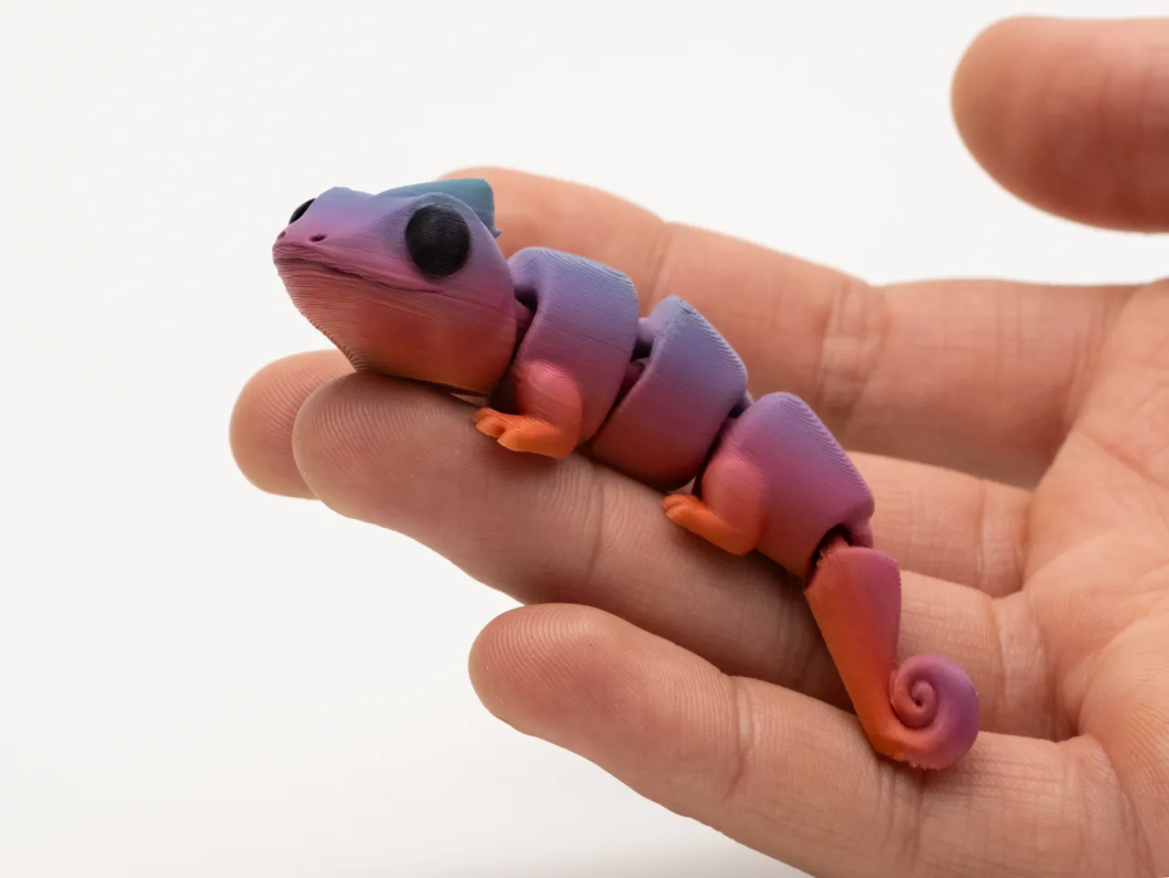 Flexi Chameleon view 4