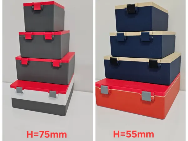 https://makerworld.bblmw.com/makerworld/model/USe2db031a291cda/design/2025-02-09_8530ab44affb.jpg