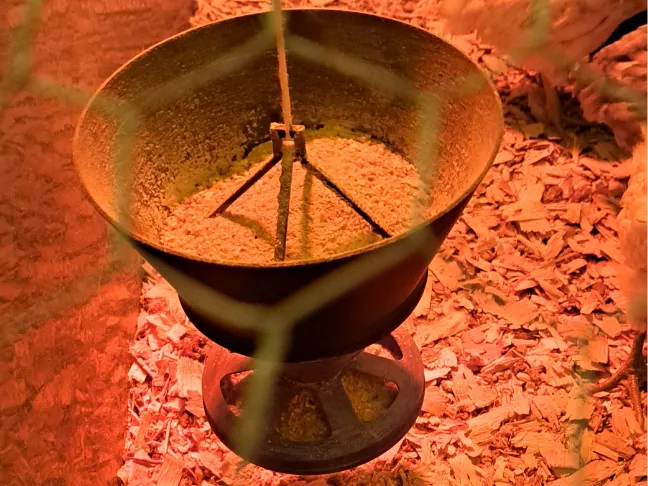 Chick Feeder (Hangable Lid/Funnel)