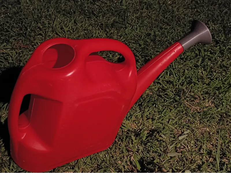WATERING CAN ROSE
