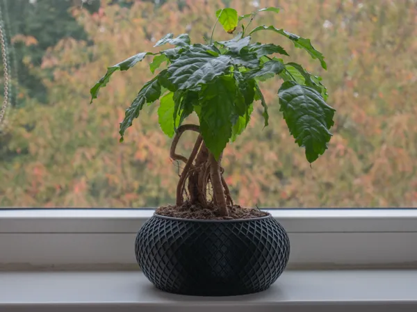 https://makerworld.bblmw.com/makerworld/model/USe2e79c45547221/design/2024-11-01_cb1e85525d1fe.jpg