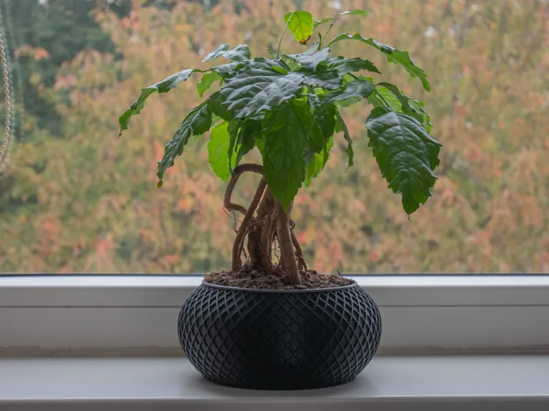 Modern Plant Pot 02