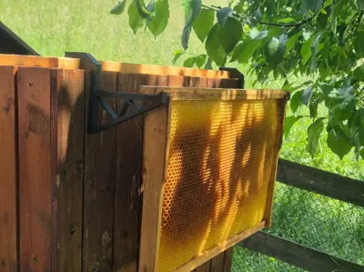 Bee Frame Holder for Extended Hive (B10)