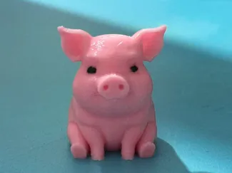 小猪 pig
