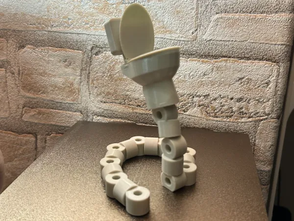 https://makerworld.bblmw.com/makerworld/model/USe2f0d238a219e2/design/2025-10-19_5f2d9928266798.jpeg