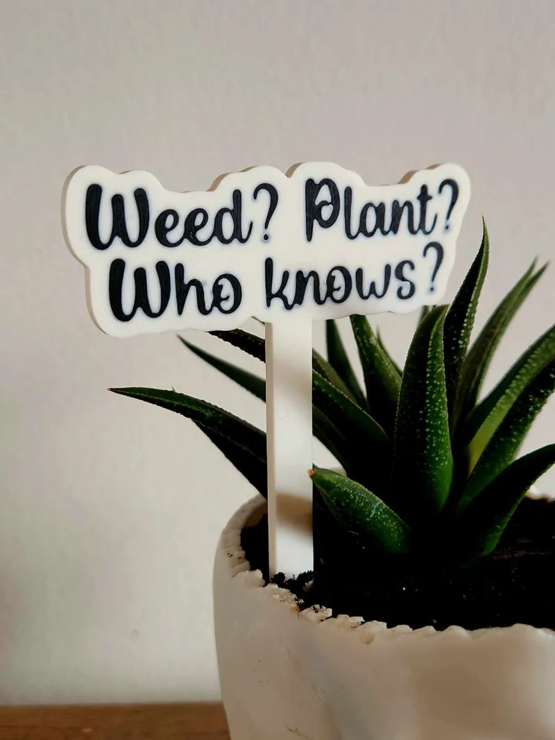 Weed? Plant? Who knows? Plant stake