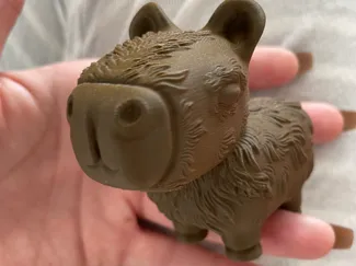 Cute Furry Capybara