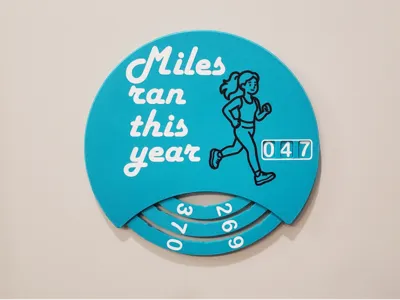 Miles Ran This Year