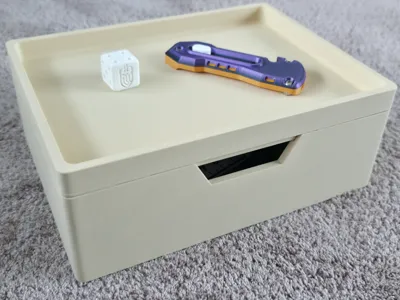 Storage Box with top Tray