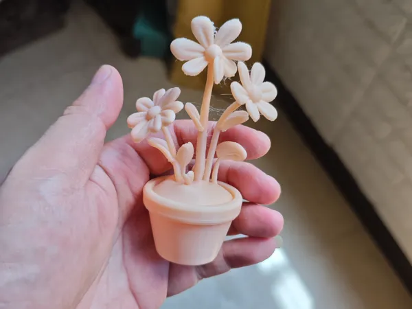 https://makerworld.bblmw.com/makerworld/model/USe30167ba41d56d/design/2025-08-03_3f1213af66435.jpg