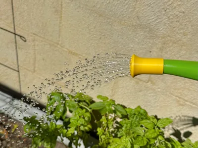Watering Can Cap