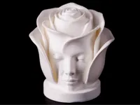 0.12mm layer, 2 walls, 15% infill