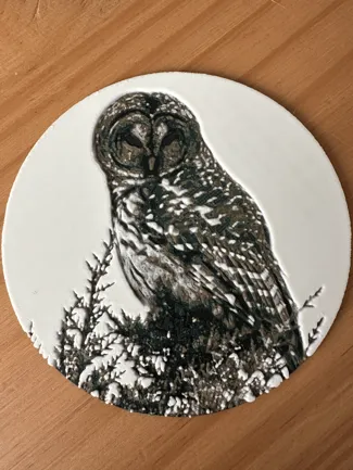 Owl photo done with Hueforge