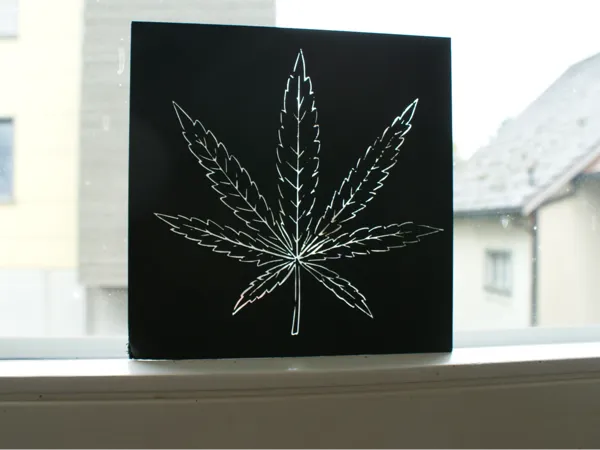 Plante médicinale translucide — décor ou abat-jour