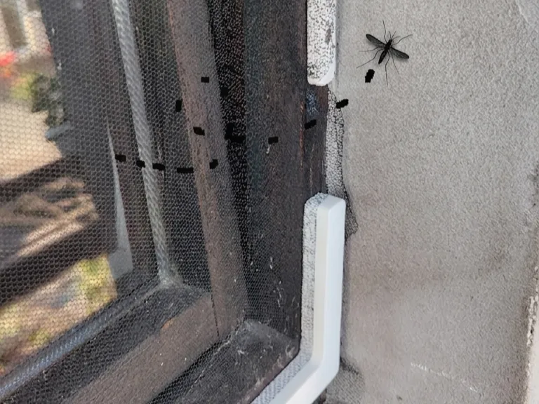 Organizador: Magnetic Insect Screen System for Windows & Doors. Referencia del modelo original.