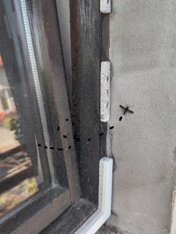 Organizador: Magnetic Insect Screen System for Windows & Doors — vista de referencia 2