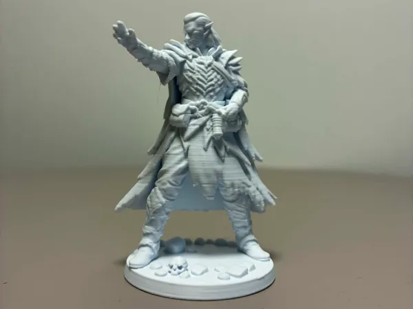 https://makerworld.bblmw.com/makerworld/model/USe317cecf35e489/design/186e01f62701df07.jpg
