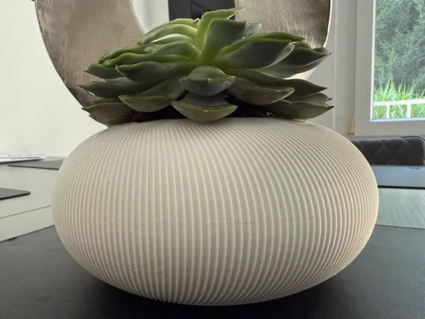 https://makerworld.bblmw.com/makerworld/model/USe31824c912245f/design/2025-08-15_1c503db8780e08.jpg