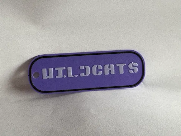 Wildcat Keychain