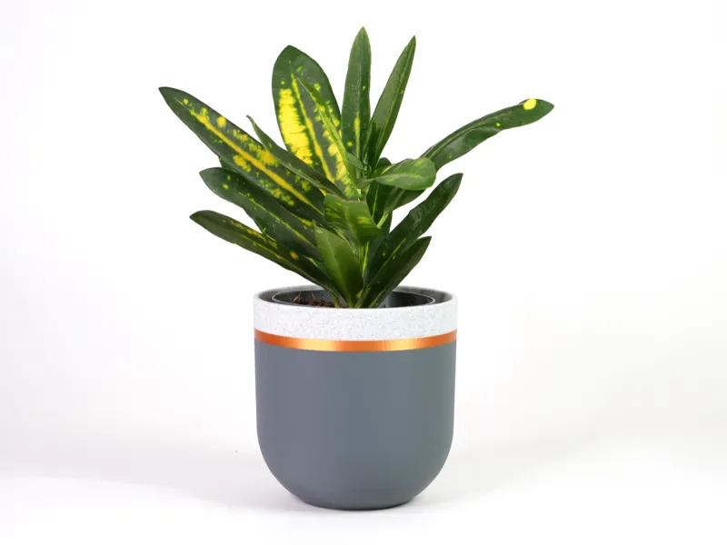 Modern Ring Planter