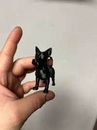 Petit chien — photo 2