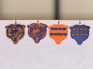 Chicago Bears Logo and Bear Down earrings