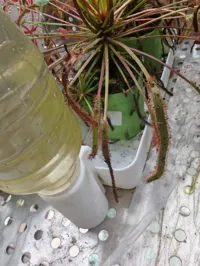 增添了支撑绘制,打印更稳固,适用普遍玩家的机器。但是支撑会难拆一些