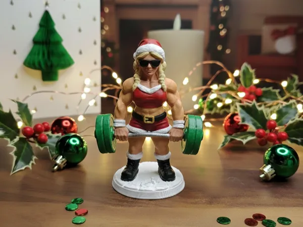 https://makerworld.bblmw.com/makerworld/model/USe32153460f47f8/design/2026-01-01_4b86c211d38cb8.jpg