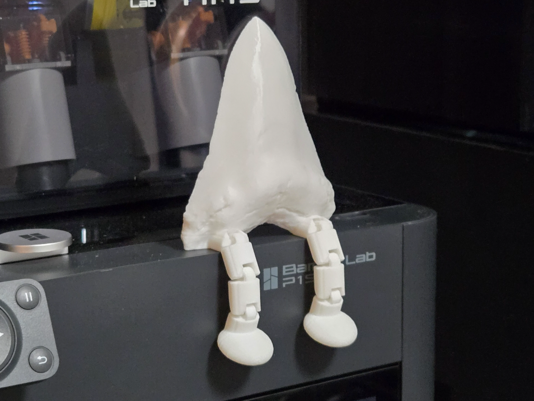 Megalodon Tooth with legs