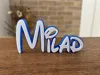 0.2mm layer, 2 walls, 8% infill