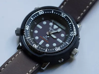 Shroud for Seiko Arnie SNJ025