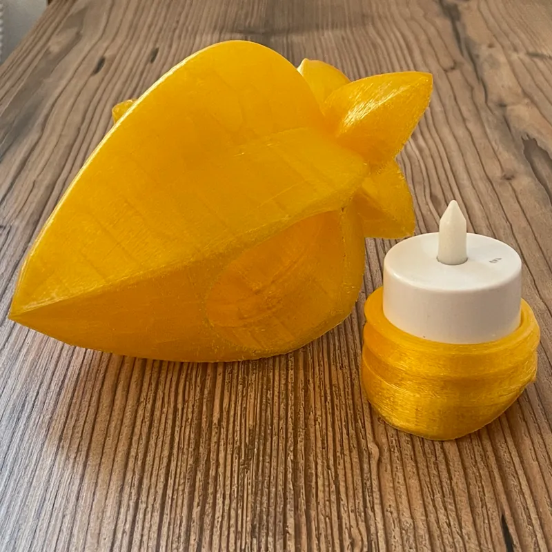 star fruit lantern