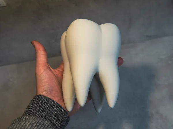 https://makerworld.bblmw.com/makerworld/model/USe32b71a8246c6f/design/902d6658b799a962.jpg