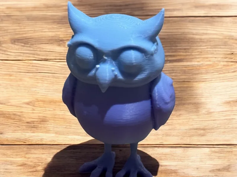 Sleepy Little Owl