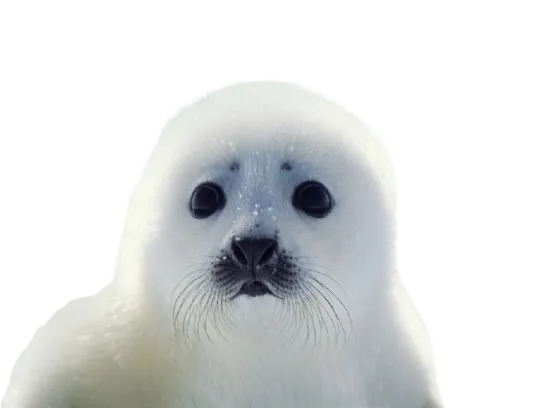 seal keycap