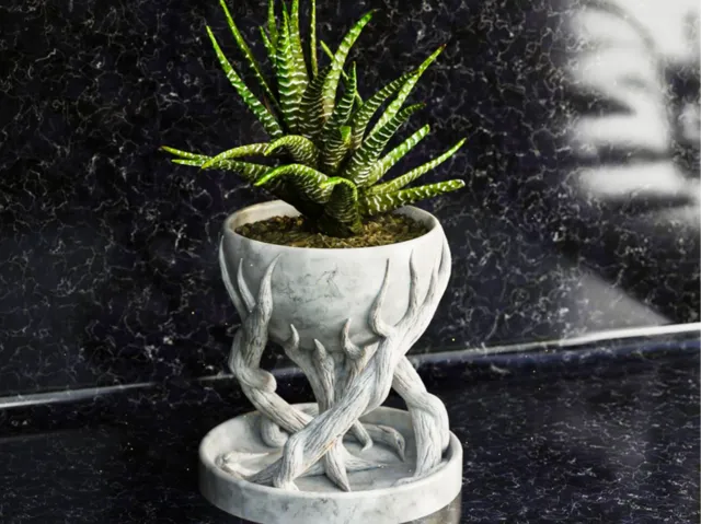Spiral tree pot