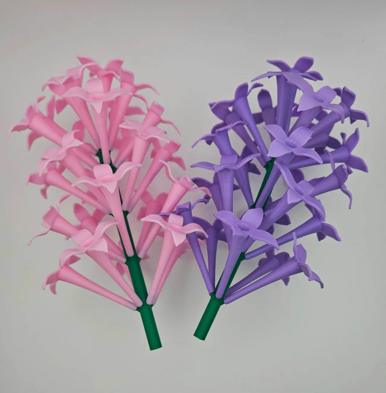 Lilac flower clusters view 4