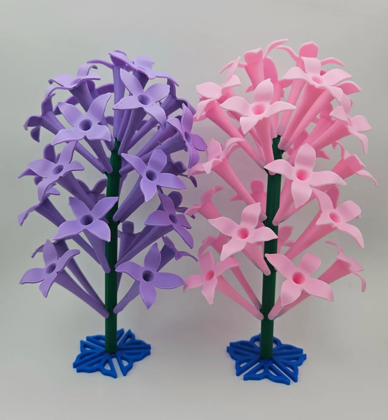 Lilac flower clusters view 3