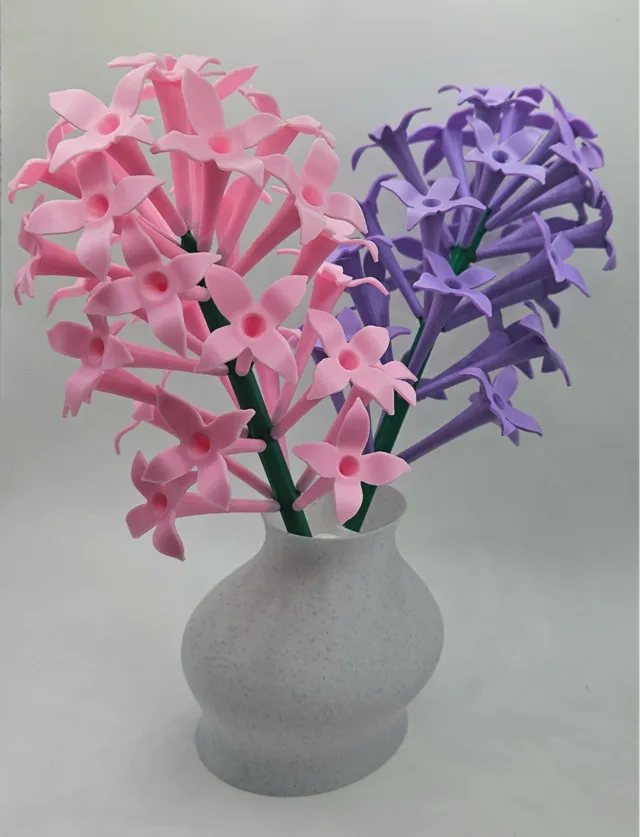 Lilac flower clusters