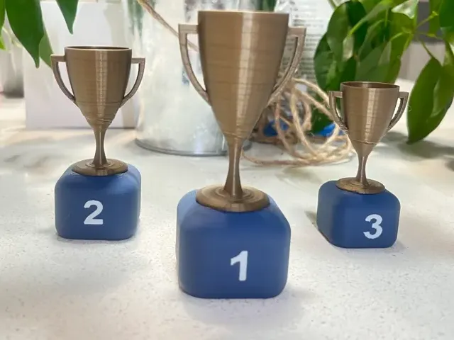 Dani's Trophies