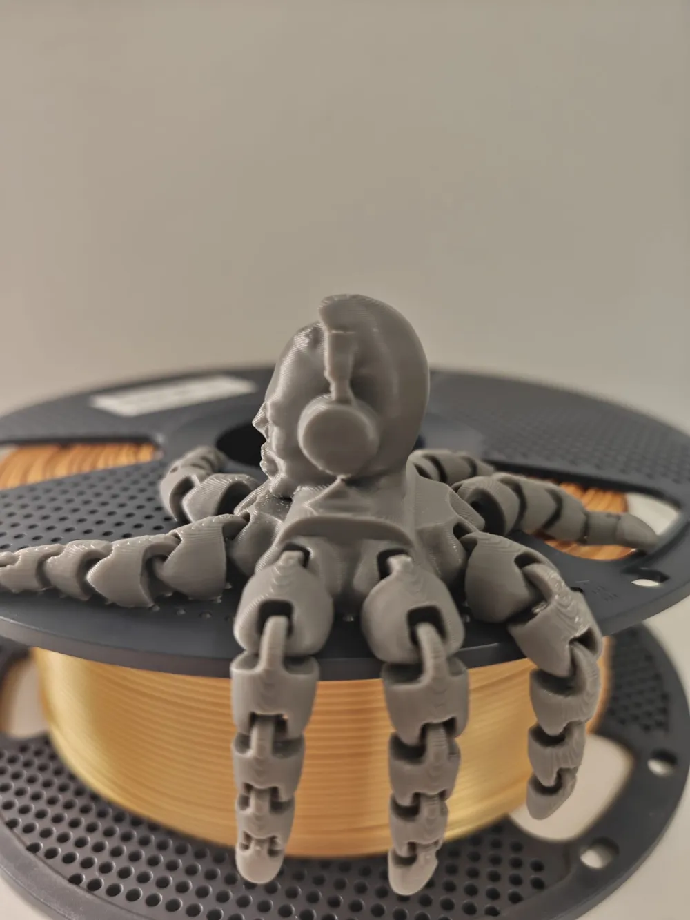 The Kinda Homelesstopus Ishowspeed As An Octopus Free 3D Print the-kinda-homelesstopus-ishowspeed-as-an-octopus-free-3d-print