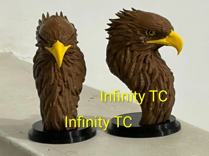 Eagle Bust