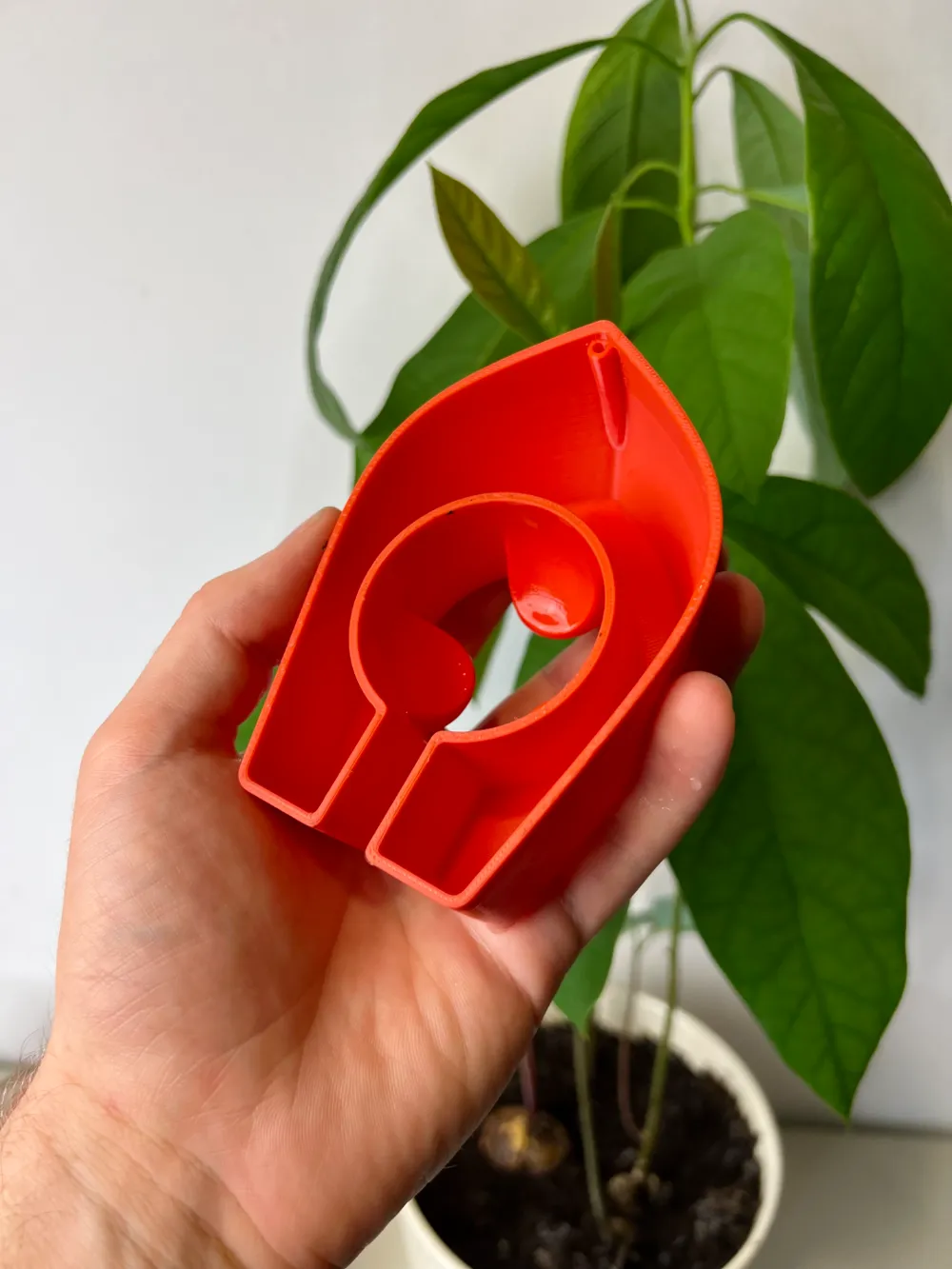 2024-07-30_2db343dc475ad.jpeg?