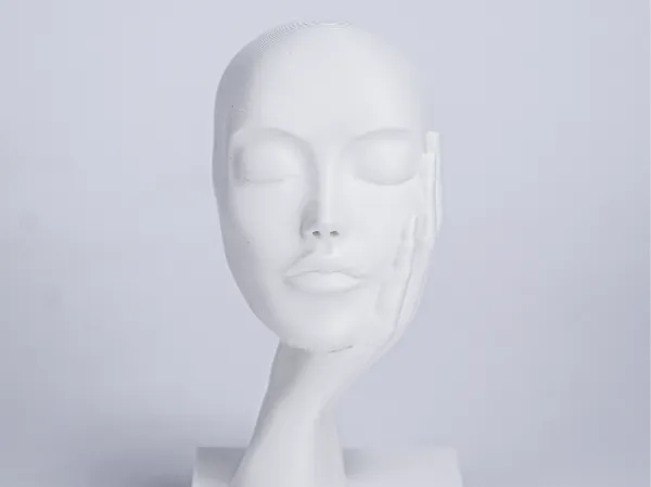 https://makerworld.bblmw.com/makerworld/model/USe348fc6824f9e/design/2024-12-26_2da6c8facd747.png