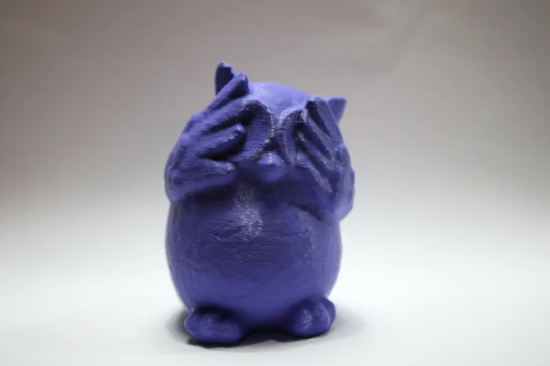 Shy Owl