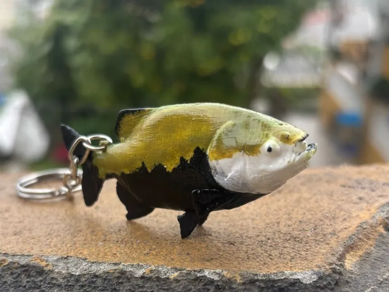 Chaveiro Tambaqui