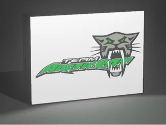 Arctic Cat Lightbox