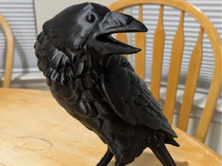Raven - version 02