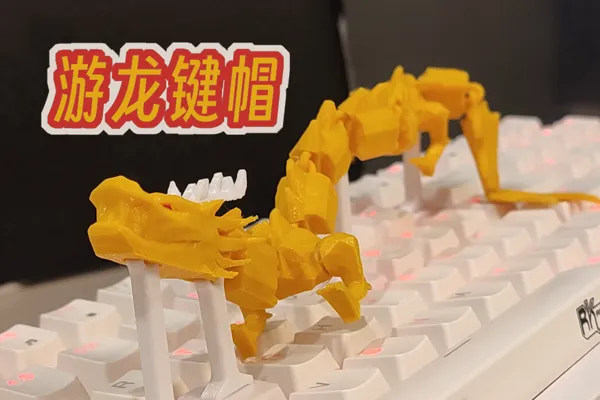 https://makerworld.bblmw.com/makerworld/model/USe3581dc866aeb0/design/2024-02-03_6d7d40d58d509.png