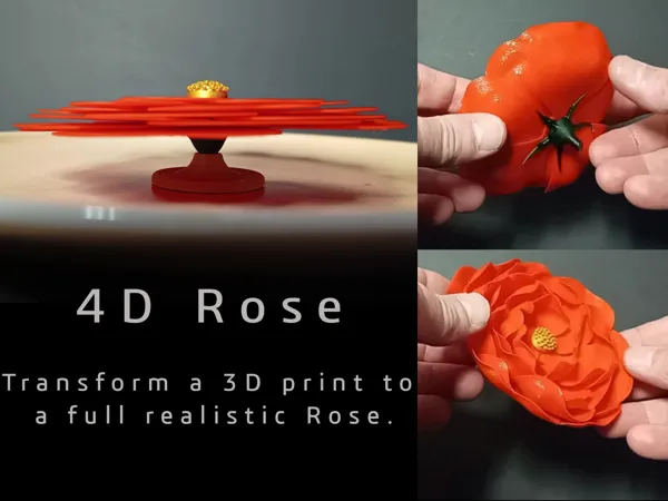 https://makerworld.bblmw.com/makerworld/model/USe35b41bd361451/design/2024-04-17_3f485d93540dd.jpg